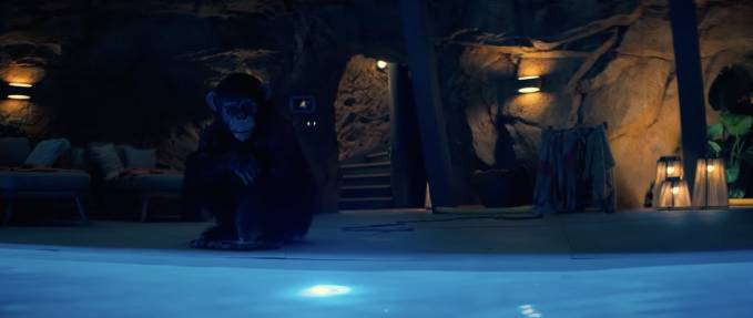 Primate - Subtitled Screening