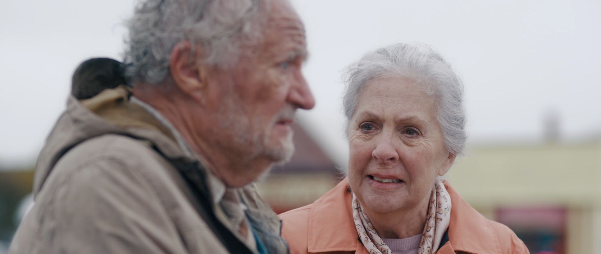 The Unlikely Pilgrimage Of Harold Fry Tickets & Showtimes REEL