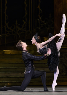 Royal Ballet: Swan Lake - Live